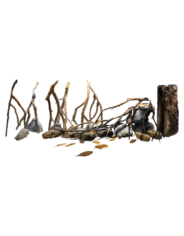 Additional Items
