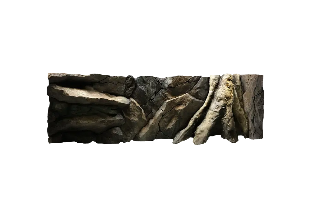 B 8 - Amazonian Tree Trunk