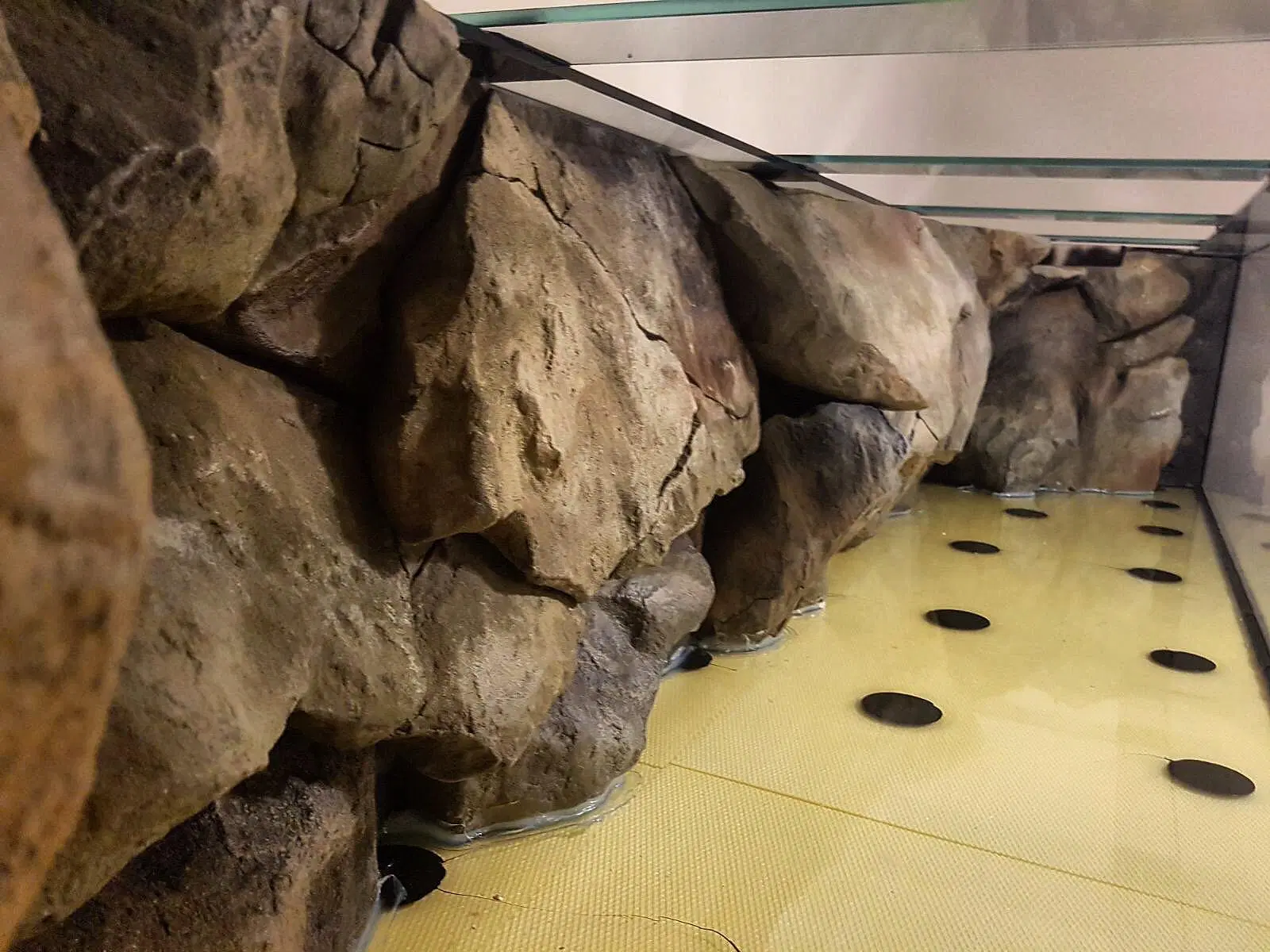 C Models - Massive Rocky Backgrounds