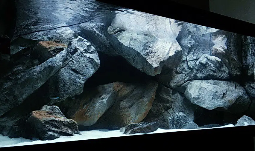 C Models - Massive Rocky Backgrounds thumbnail 4