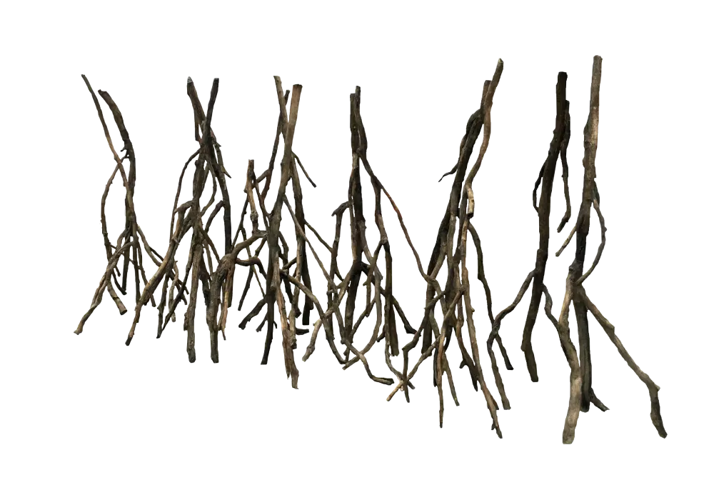https://cdn.aquadecorbackgrounds.com/aquadecor-blob/d-1-plus-standing-roots.webp