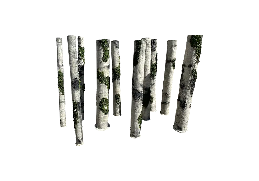 D 10 Plus - Standing logs