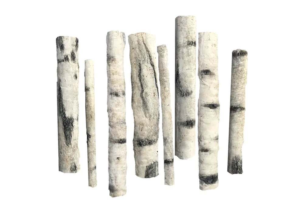 D 10 - Standing logs