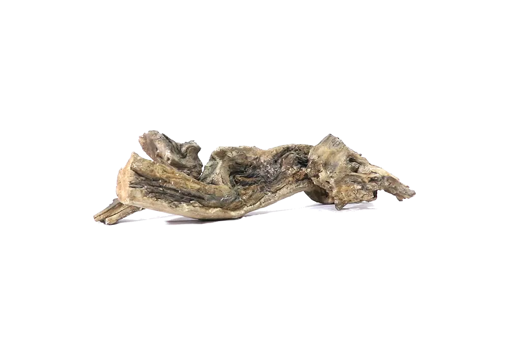 https://cdn.aquadecorbackgrounds.com/aquadecor-blob/d-12-driftwood.webp