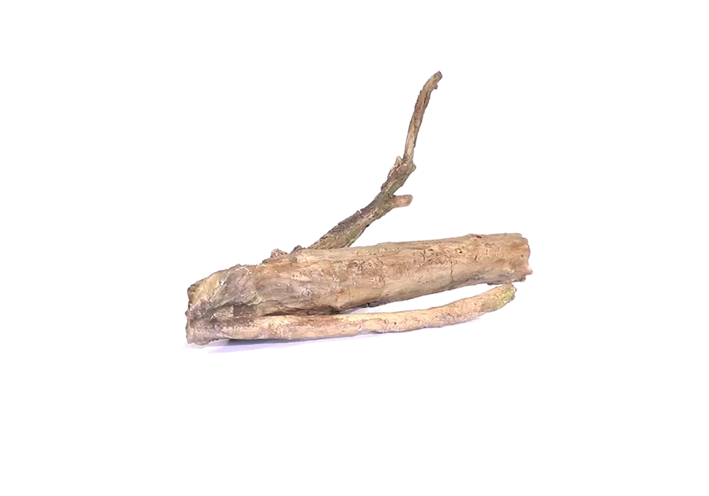 D 14 - Driftwood