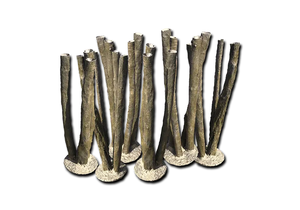 D 2 - Standing logs