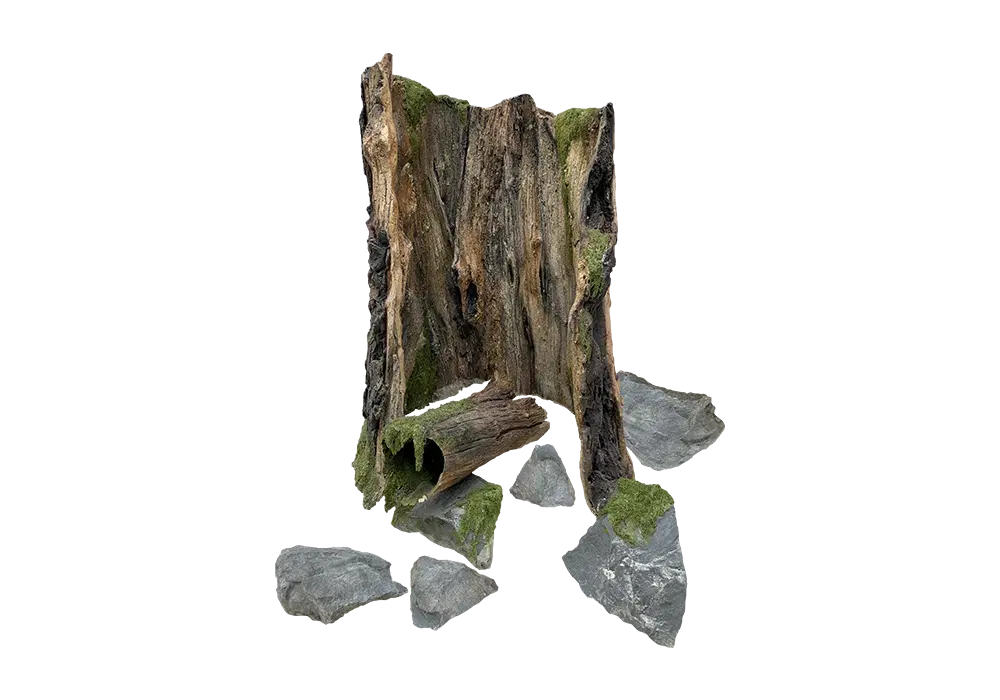 https://cdn.aquadecorbackgrounds.com/aquadecor-blob/d-22-tree-trunk-with-moss.webp