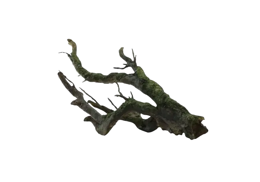 D 23 - Large branch with moss
