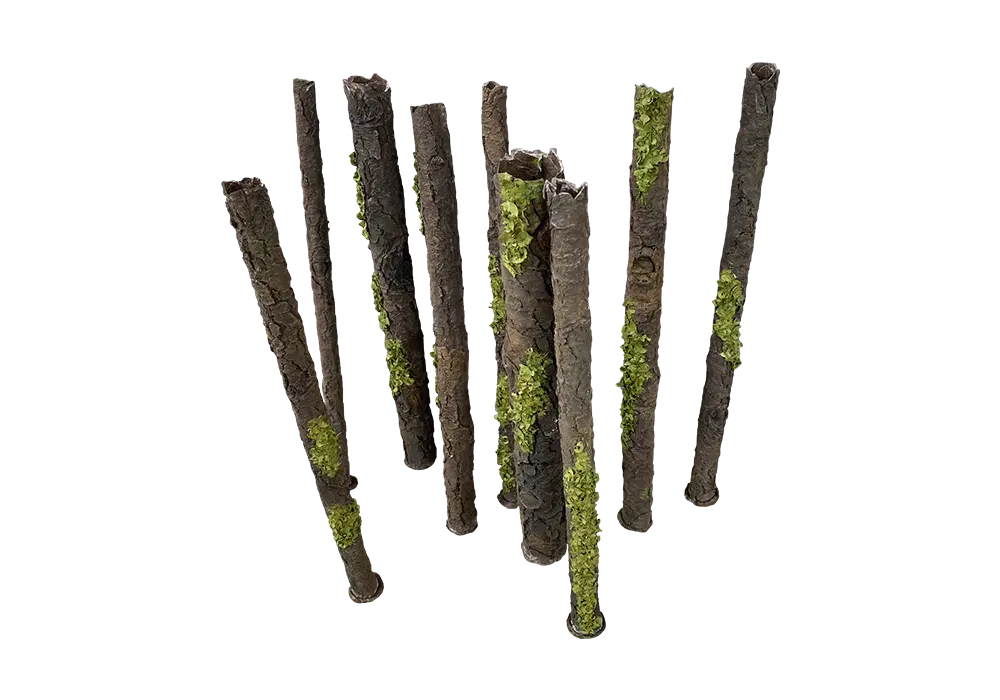 D 24 - Standing logs