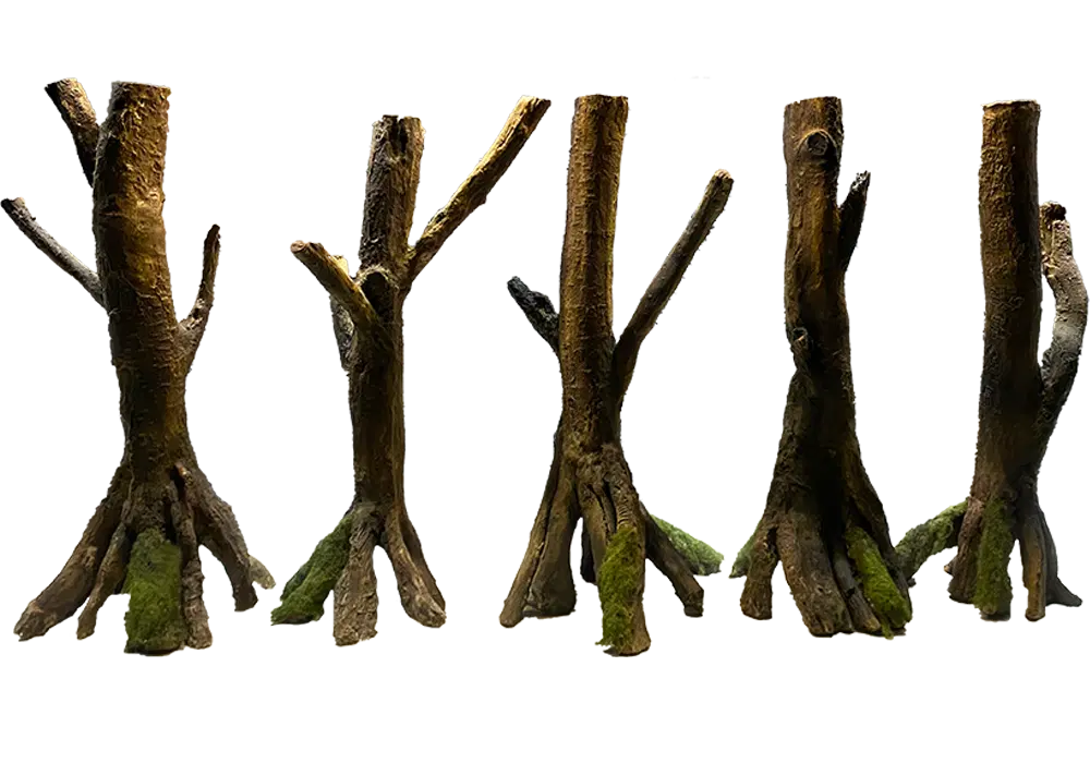 D 33 Plus - Amazonian roots with Moss