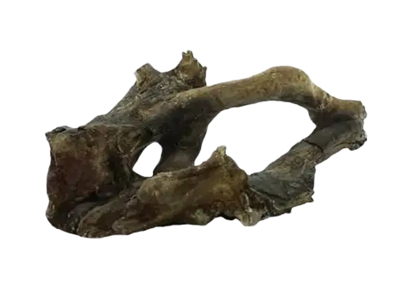 D 37 - Driftwood