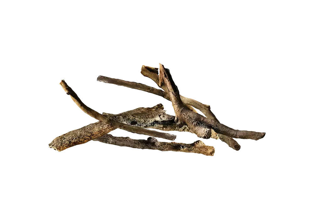 D 4 - Logs