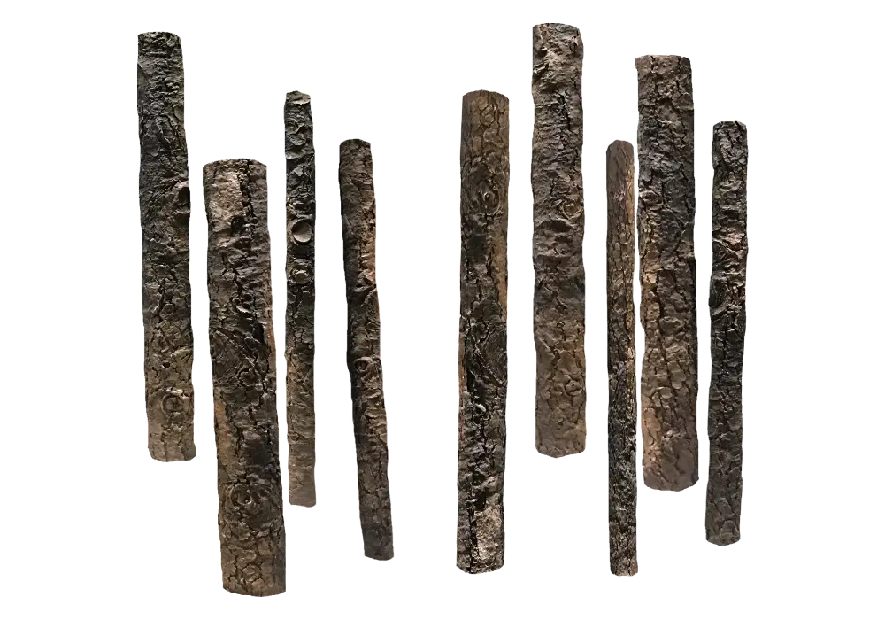 D 46 - Standing logs