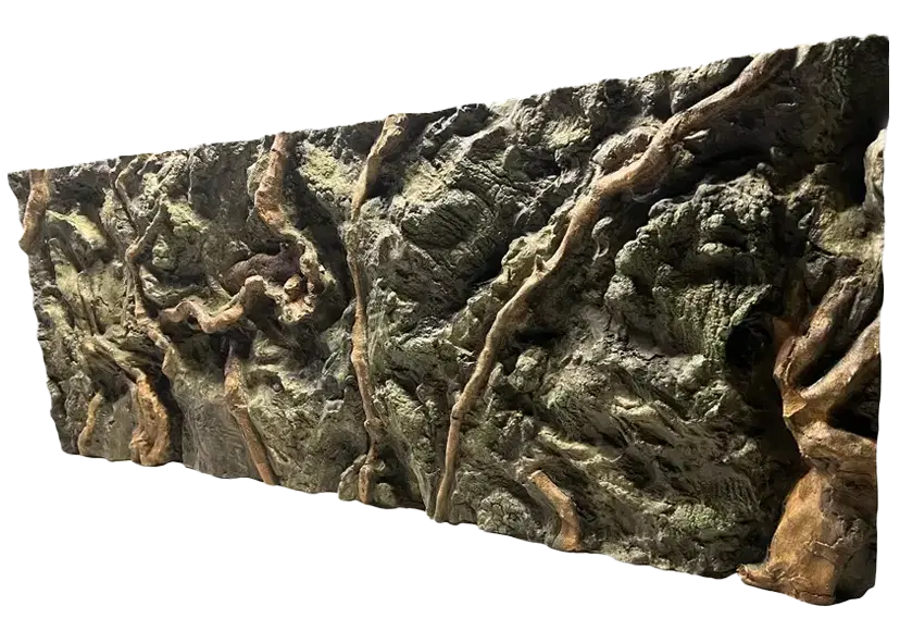 E 25 - Slim Amazonian Background