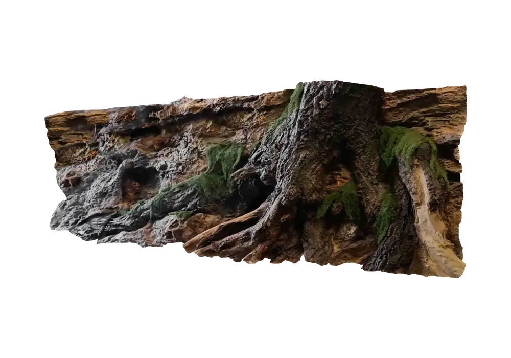 E 5 - Slim Amazonian Background