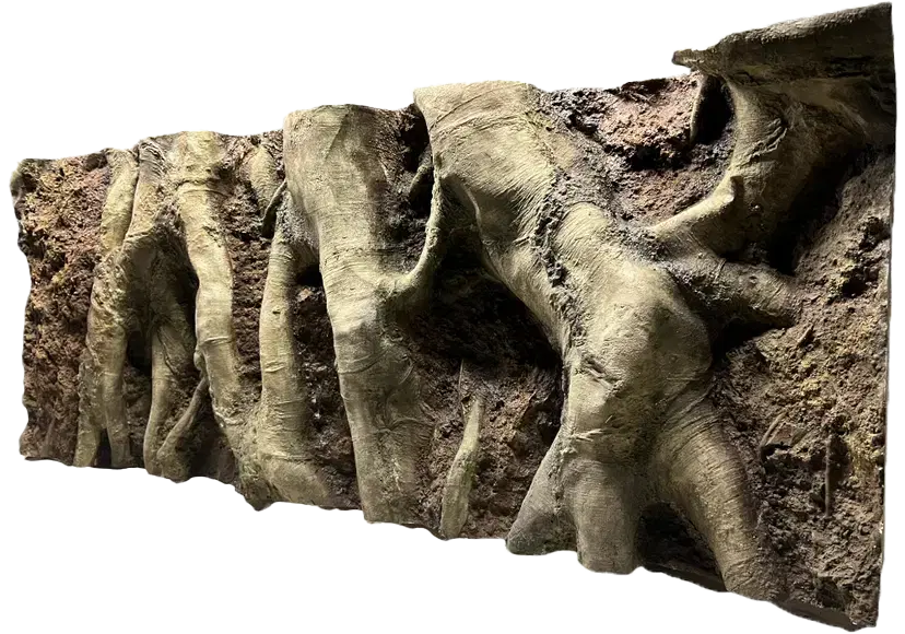 E 8 - Slim Amazonian Background