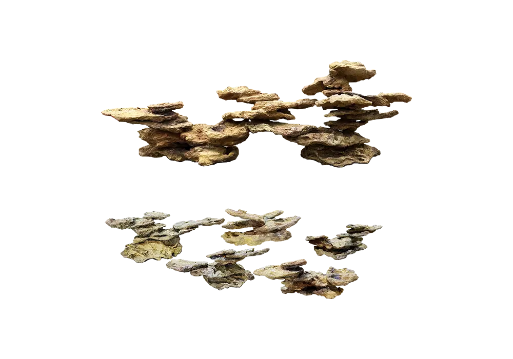H 1 - Reef