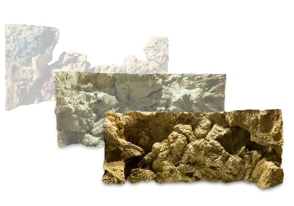 K Models - Saltwater/Marine Backgrounds
