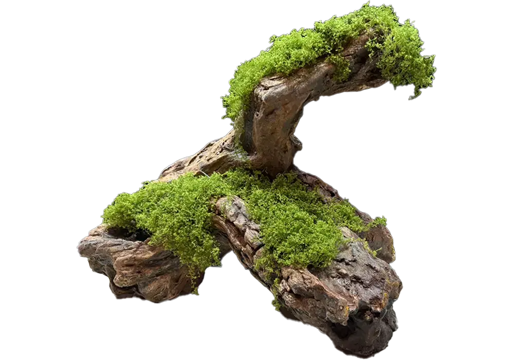 Q 7 - Aquarium driftwood