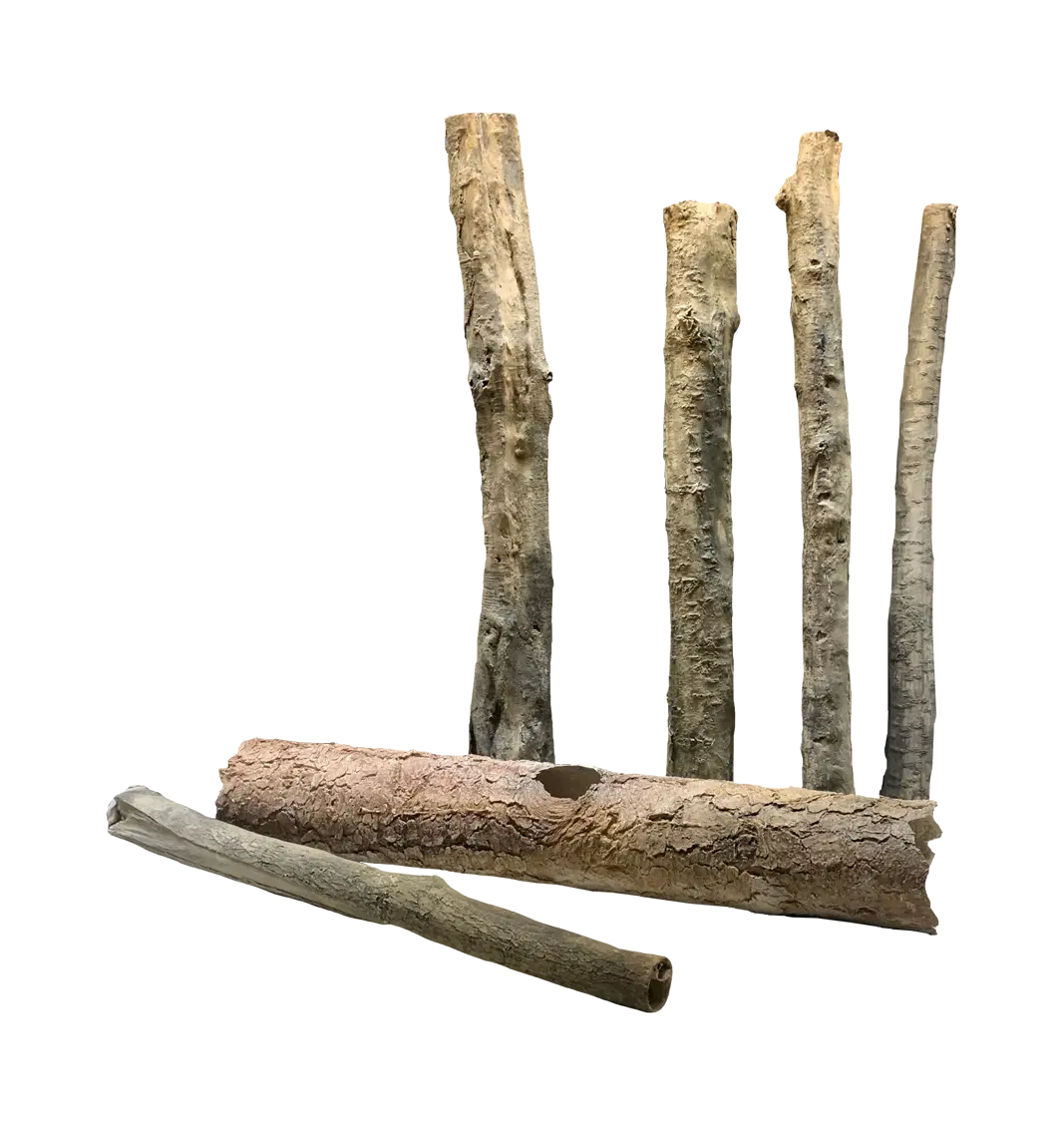 Set 4