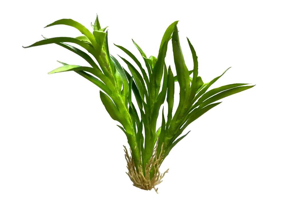 https://cdn.aquadecorbackgrounds.com/aquadecor-blob/z-1-model-aquarium-plant.webp