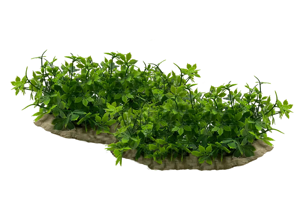 https://cdn.aquadecorbackgrounds.com/aquadecor-blob/z-14-model-aquarium-plant.webp