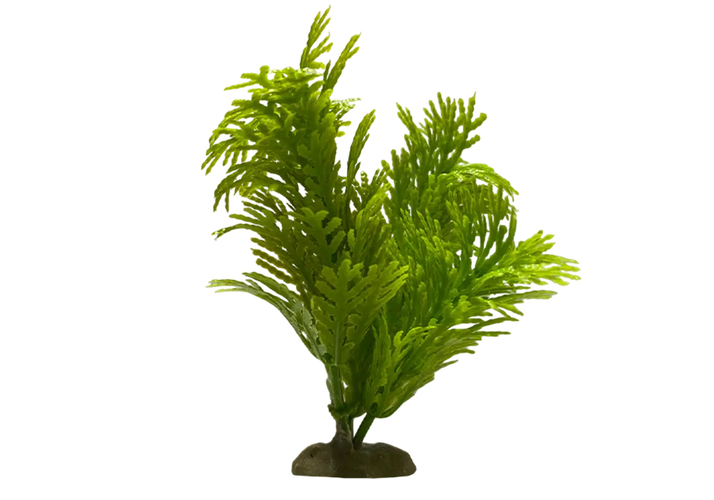 https://cdn.aquadecorbackgrounds.com/aquadecor-blob/z-2-model-aquarium-plant.webp