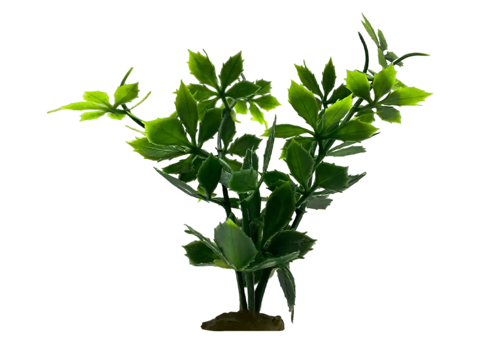 https://cdn.aquadecorbackgrounds.com/aquadecor-blob/z-3-model-aquarium-plant.webp