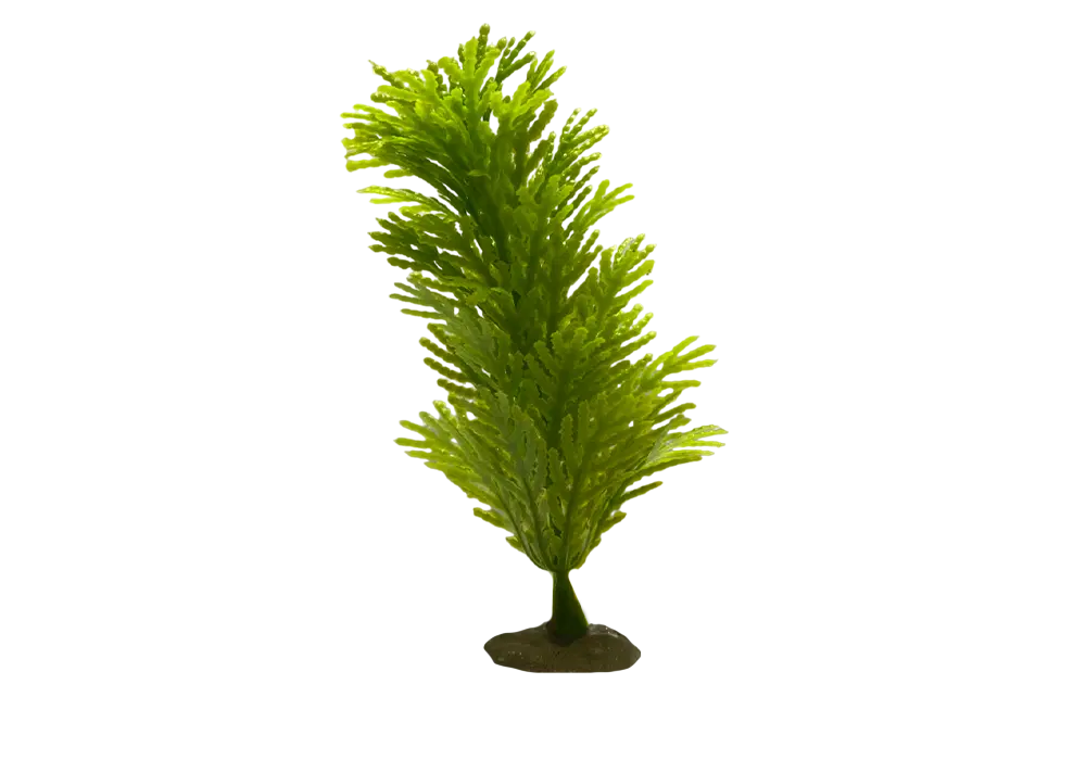 https://cdn.aquadecorbackgrounds.com/aquadecor-blob/z-4-model-aquarium-plant.webp