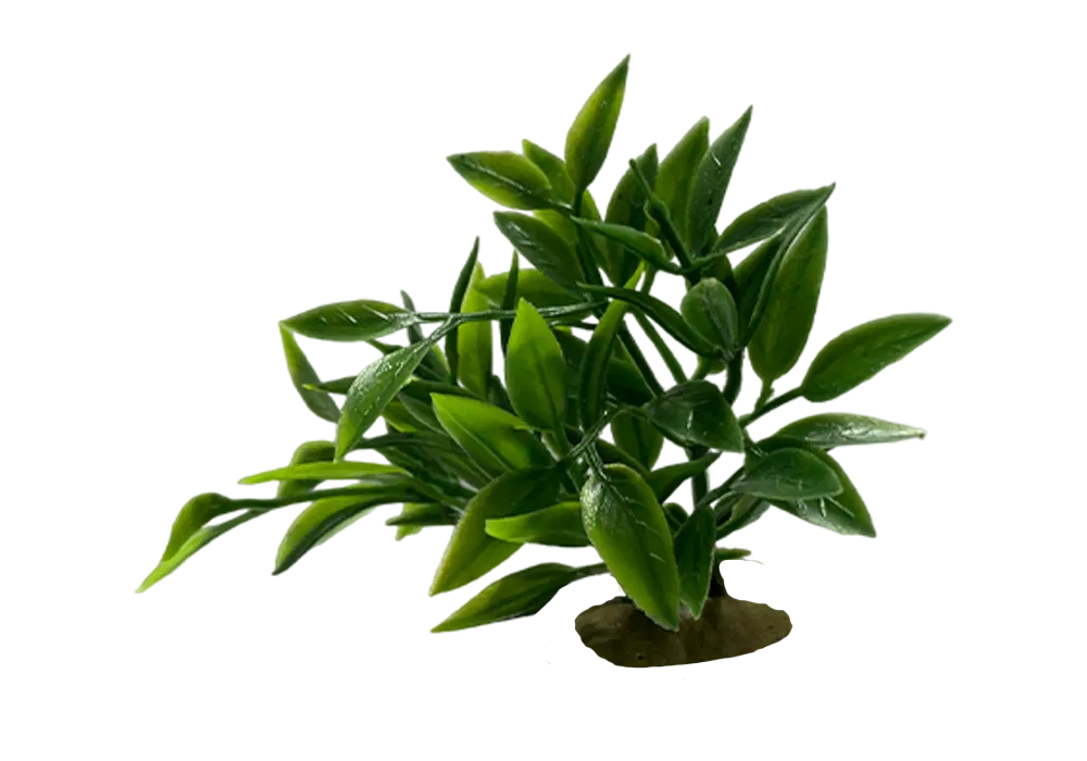 https://cdn.aquadecorbackgrounds.com/aquadecor-blob/z-5-model-aquarium-plant.webp