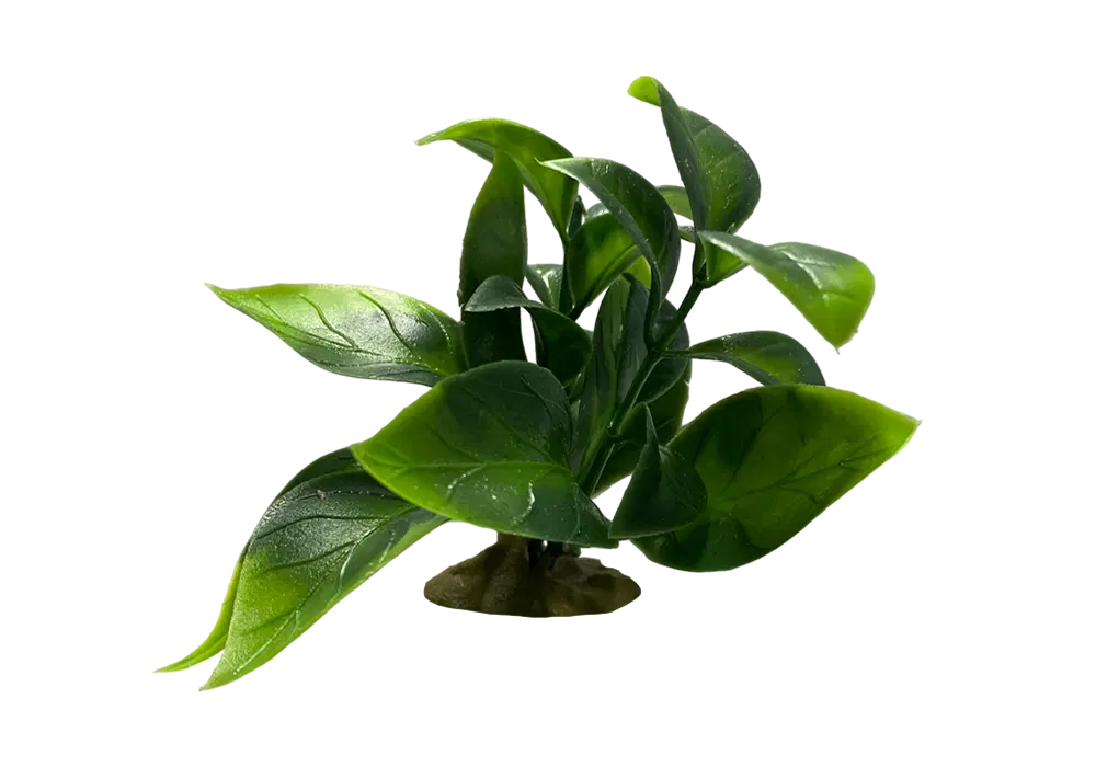 https://cdn.aquadecorbackgrounds.com/aquadecor-blob/z-7-model-aquarium-plant.webp