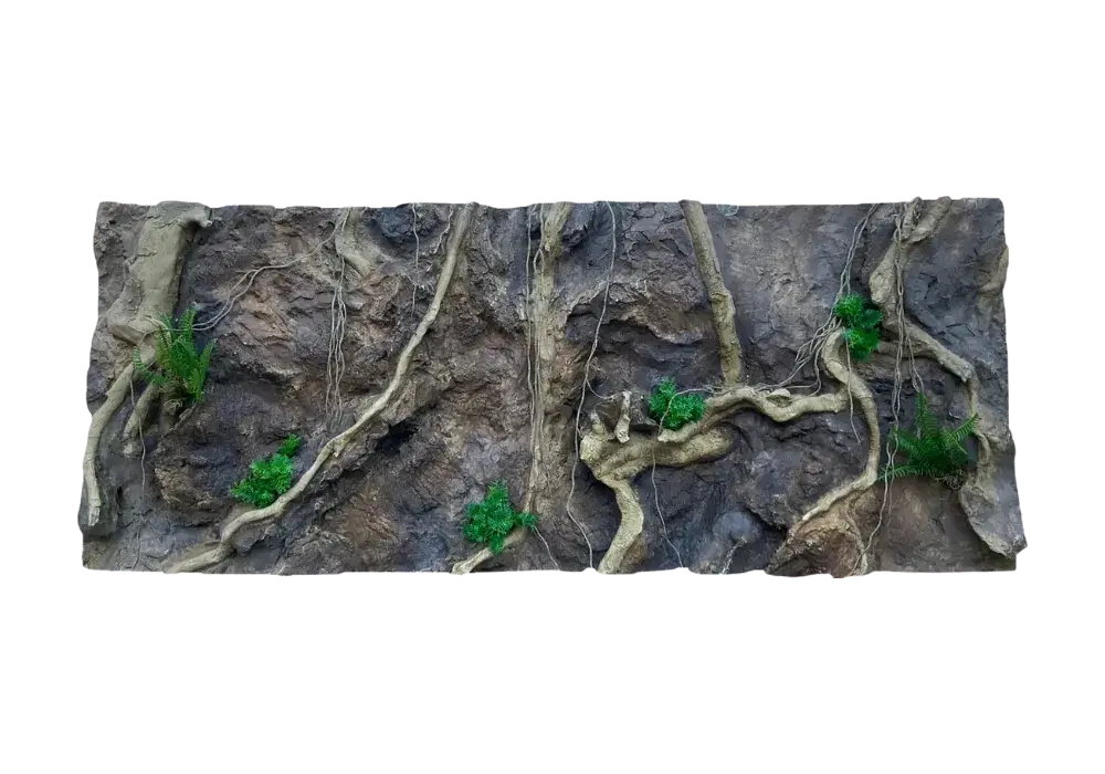 E 28 - Slim Amazonian Background