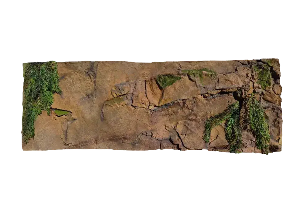 E 29 - Slim Amazonian Background