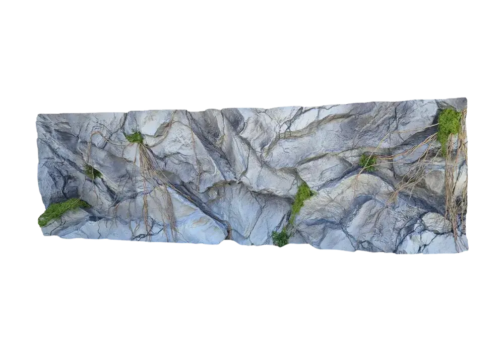 E 30 - Slim Amazonian Background