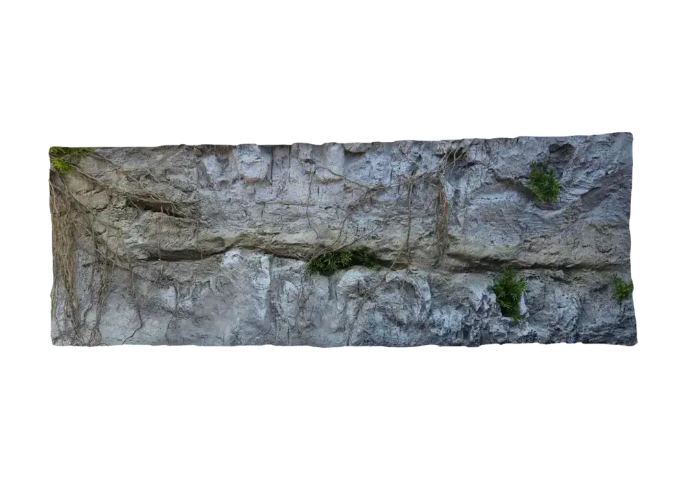 E 32 - Slim Amazonian Background