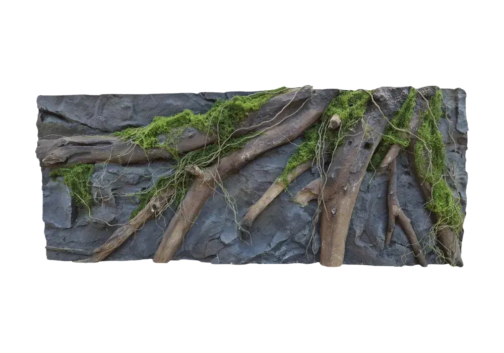 E 33 - Slim Amazonian Background